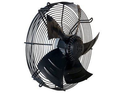 Fanlar