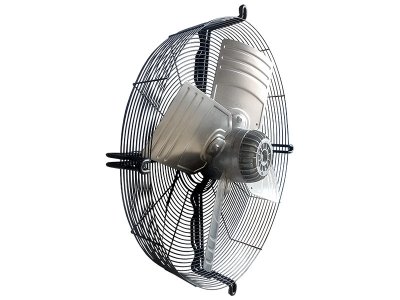 Fanlar